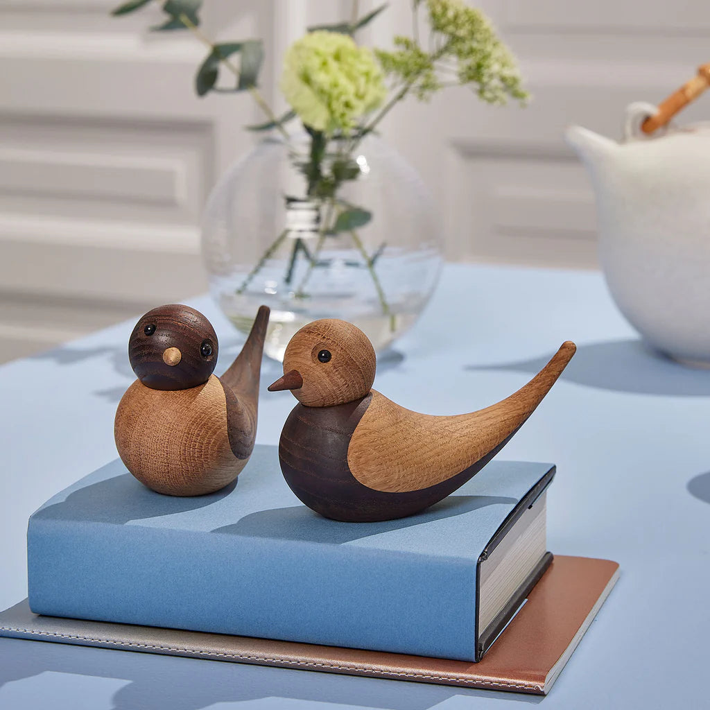 Seelenverwandte Schwalben